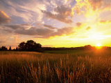 Sunset Over Salt Marsh  Essex  MA