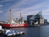 National Aquarium  Inner Harbor  Baltimore  MD