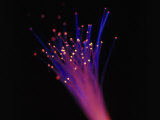 Close-up of Fiber Optic Cable