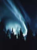 Northern Lights in Night Sky