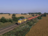 Freight Train in November  IL