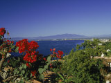 View of Puerto Vallarta  Mexico