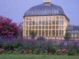 City Conservatory  Baltimore  MD