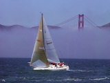 Sailboat  San Francisco  CA