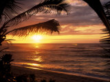 Sunset on the Ocean with Palm Trees  Oahu  HI