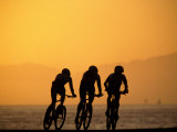 Silhouette of Three Men Riding on the Beach
