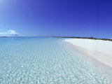 Bahamian Shoreline