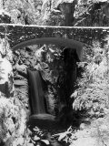 Christine Falls During Winter  Mt Rainier National Park  WA
