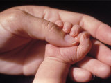 Baby and Adult Hands