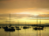 Sunset on Harbor  San Diego  CA