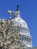 Capitol Building  Washington  DC