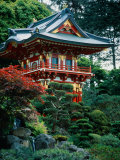 Japanese Tea Garden  San Francisco  CA