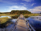 Uncle Tim's Bridge  Wellfleet  Cape Cod  MA