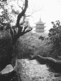 View Marble Mountain  Temple  Danang