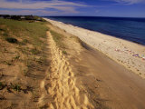Bluff Above Maguire Landing  Cape Cod  MA