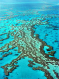 Great Barrier Reef  Queensland  Australia