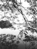 Hoan Kiem Lake View  Hanoi  Vietnam