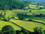 Rolling Countryside