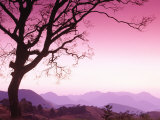 Serra Dos Orgaos National Park  Brazil