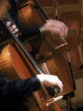 Cellists Performing in Orchestra