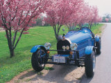 Bugatti Racecar and Cherry Blossoms