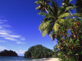 Paria Beach  Trinidad