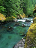 Ohanapecosh River  Mt Rainier National Park  WA