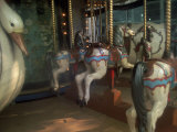 Old Carousel Horses and Duck  Paris  France