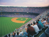 People at a Baseball Game