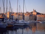 Sailboats in Port by Buildings  Marseille  France
