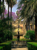 Reales Alcazares  Santa Cruz  Seville  Spain