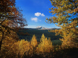 Autumn  Heaven's Peak  Utah