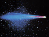 Halley's Comet