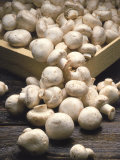 Mushrooms