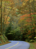 Roadway  Great Smoky Mountains National Park  TN