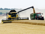Yellow New Holland Combine Harvester Unloading Grain into Trailer  UK