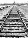 View of Birkenau Entrance and Railway Line That Brought Prisoners In  Poland
