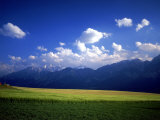 Field & Karwendel Mts  Aldrans  Tyrol  Austria