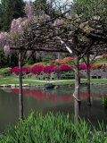 Washington Park Arboretum  Seattle  WA