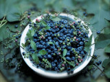 Bowl of Blueberries