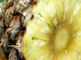 Pineapple September