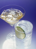 Cocktails  Martini  Gin and Tonic
