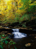 Waterfalls  Ricketts Glen State PArk  PA
