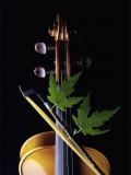 Violin with Maple Twig