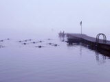 Swimming Marker and Pier