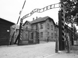 Entrance Gate with Hypocritcal in Work There is Freedom Banner  Auschwitz  Poland