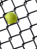 Tennis Ball in Fence