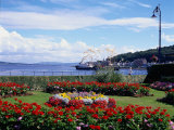 Garden at Esplanade  Argyll  Scotland