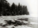 Frozen Lake and Evergreen Trees