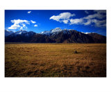 MO-02A Cook Plains